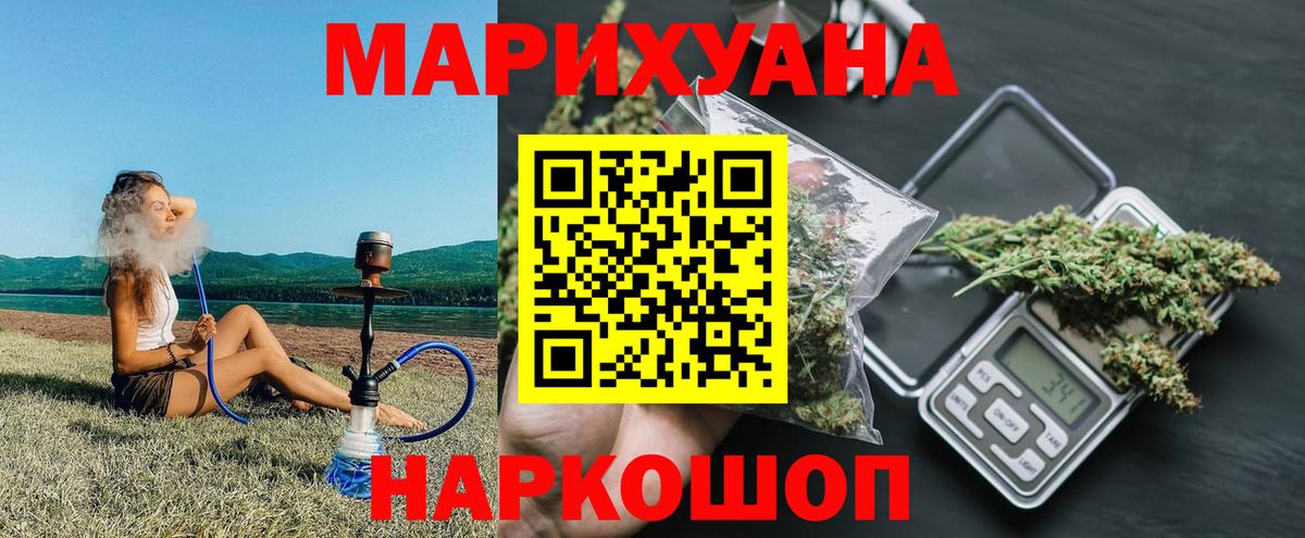 Бошки Шишки планчик Вольск