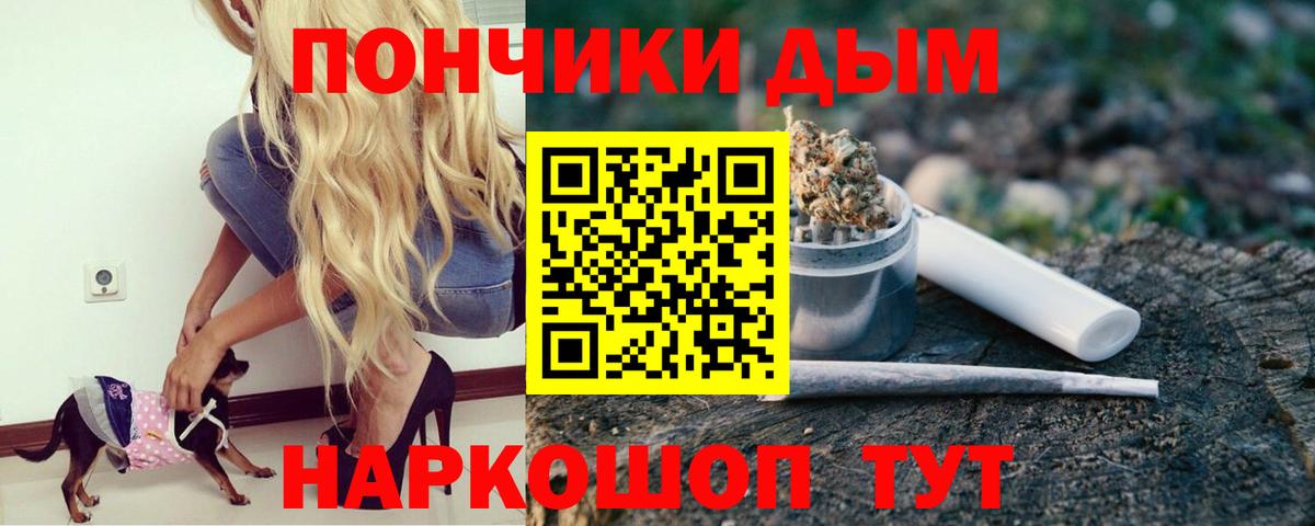 Вольск  Каннабис Amnesia  Бошки Шишки гибрид  Вход с VPN  Бошки марихуана план  Канабис марихуана 